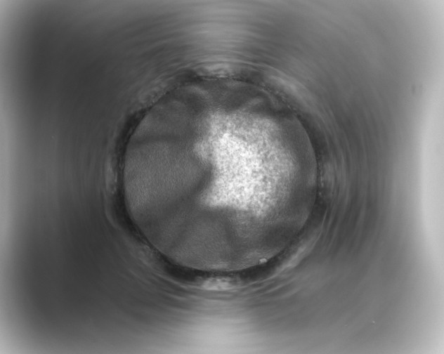 X0000088750751200706212114