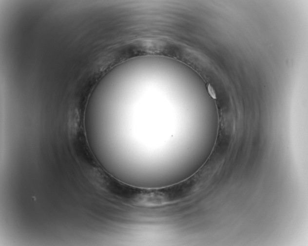 X0000088750752200706212114