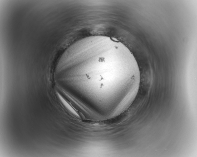 X0000088750755200706212114