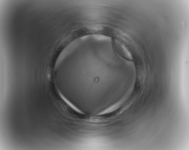 X0000088750758200706212114