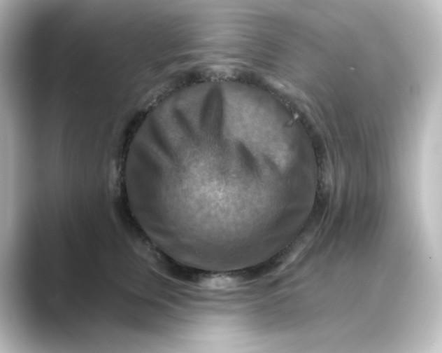 X0000088750759200706212114