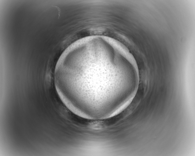 X0000088750761200706212114