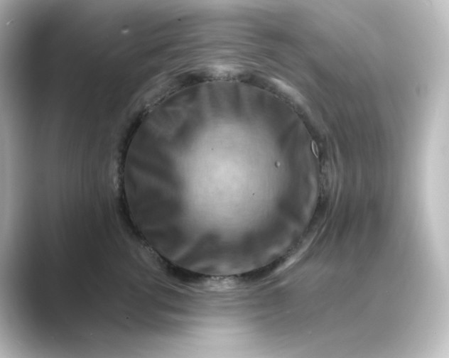 X0000088750762200706212114