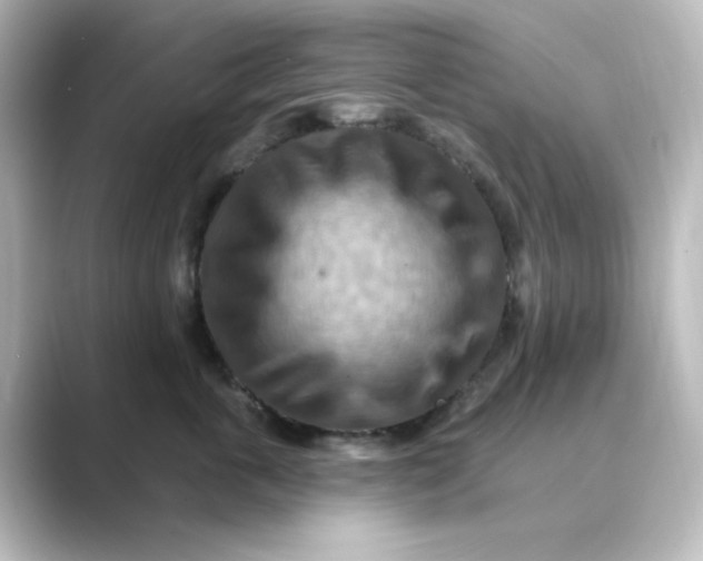 X0000088750763200706212114