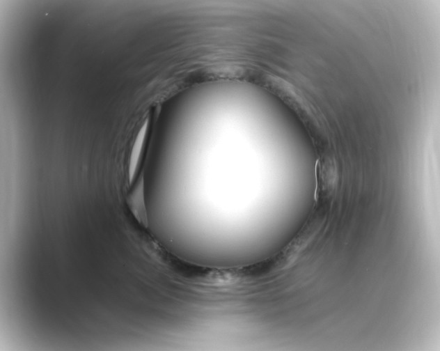 X0000088750764200706212114