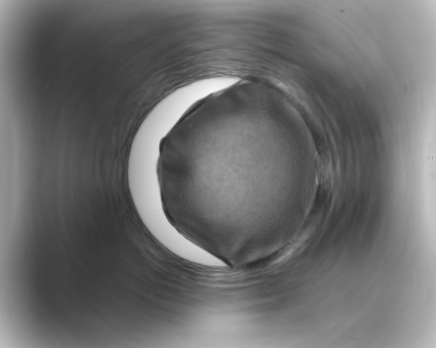 X0000088750766200706212114