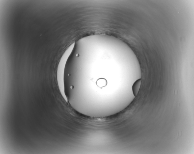 X0000088750768200706212114