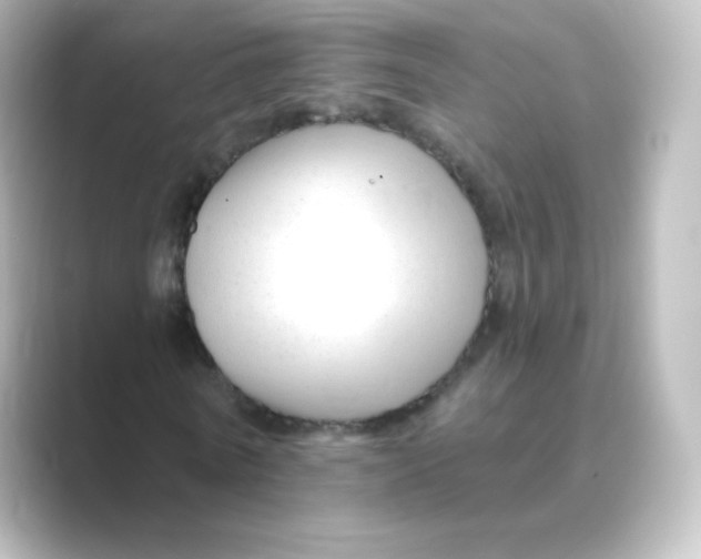 X0000088750770200706212114