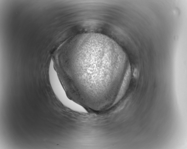 X0000088750771200706212114