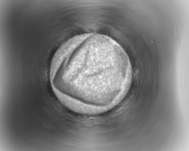 X0000088750772200706212114