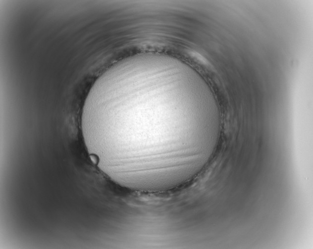 X0000088750774200706212114