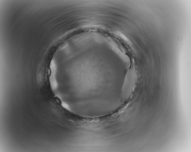 X0000088750775200706212114