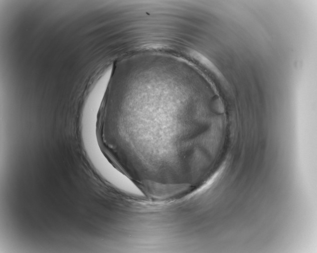 X0000088750777200706212114