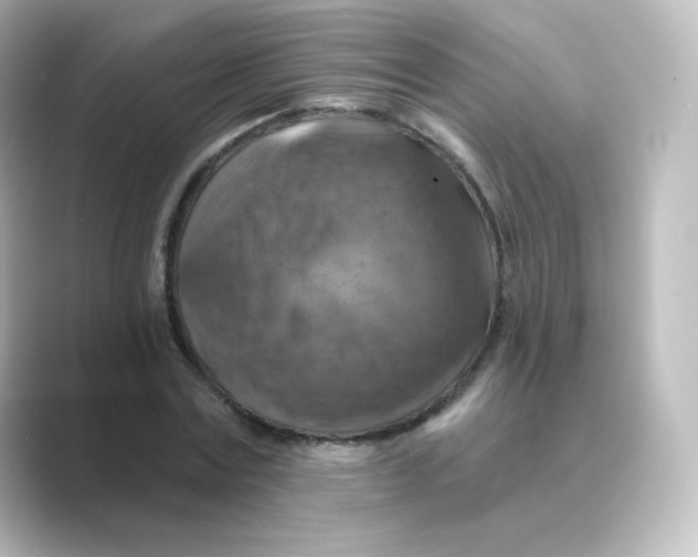 X0000088750779200706212114