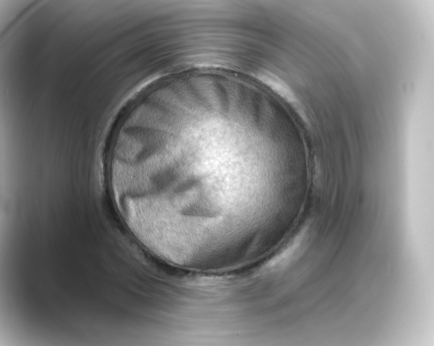 X0000088750782200706212114