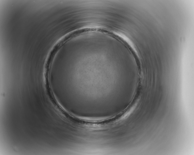 X0000088750783200706212114