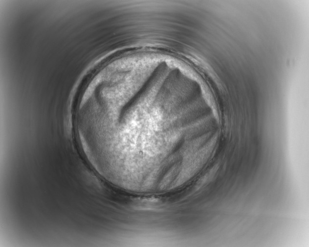 X0000088750784200706212114