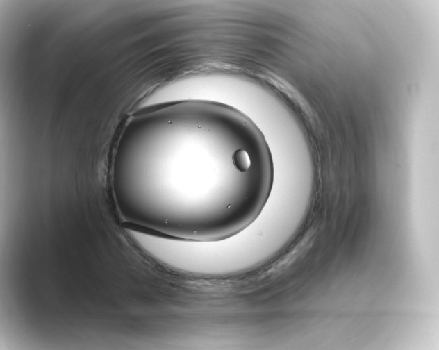 X0000088750785200706212114