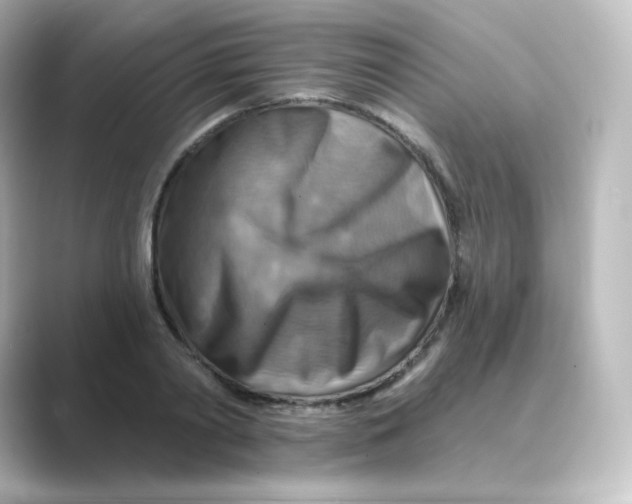 X0000088750790200706212114