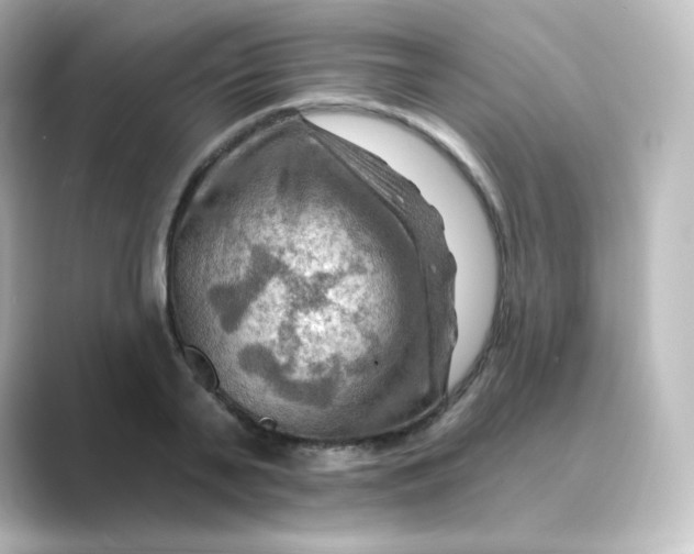 X0000088750791200706212114