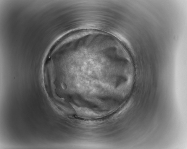 X0000088750792200706212114