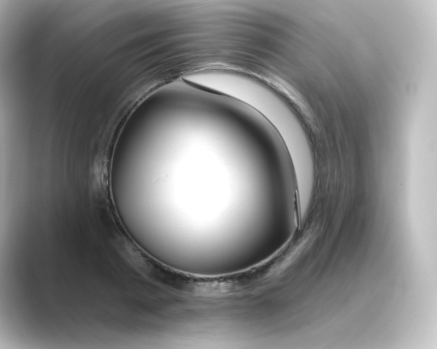 X0000088750793200706212114