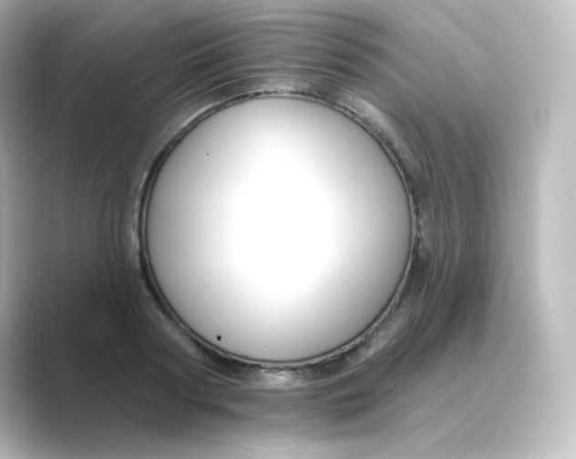 X0000088750794200706212114