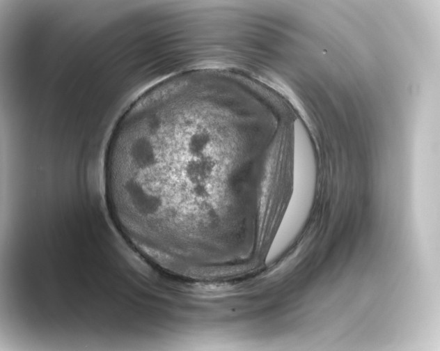 X0000088750795200706212114