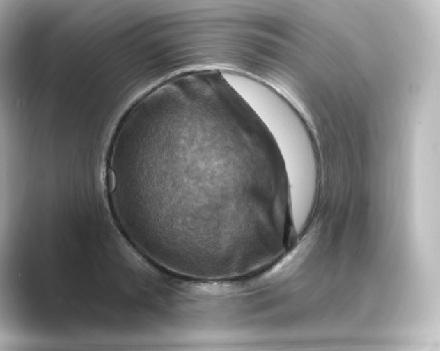 X0000088750797200706212114