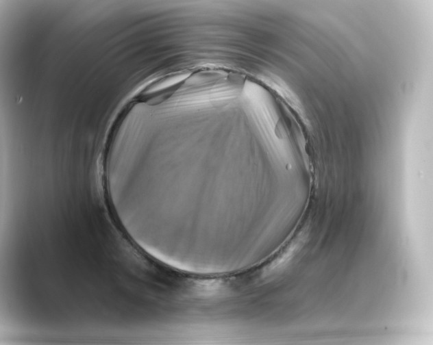 X0000088750798200706212114