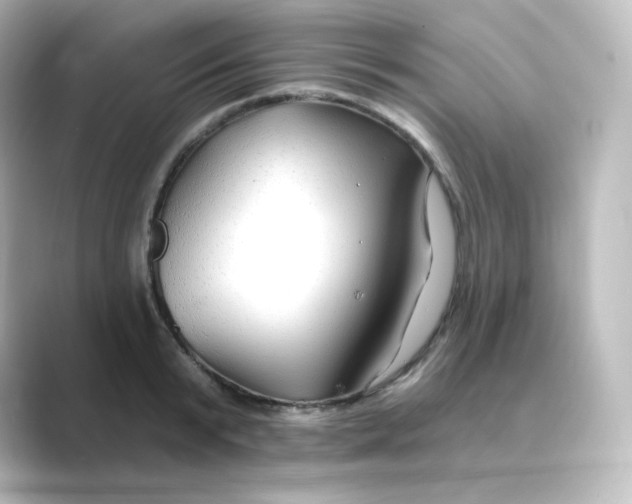 X0000088750799200706212114