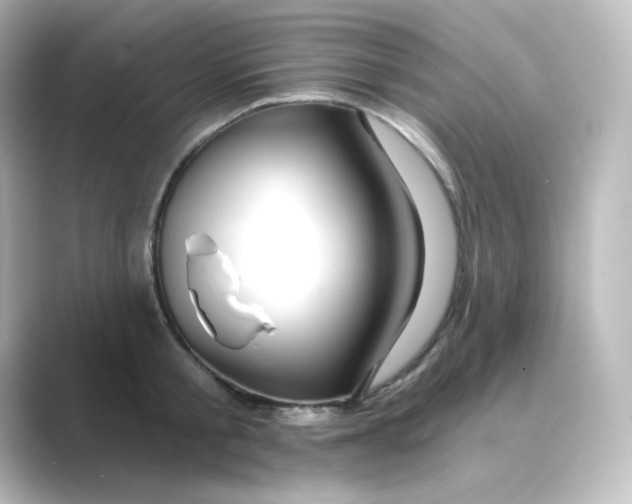 X0000088750805200706212114