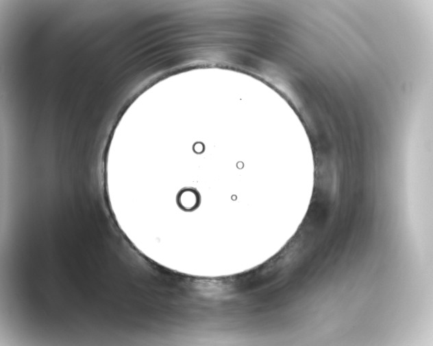 X0000088750807200706212113