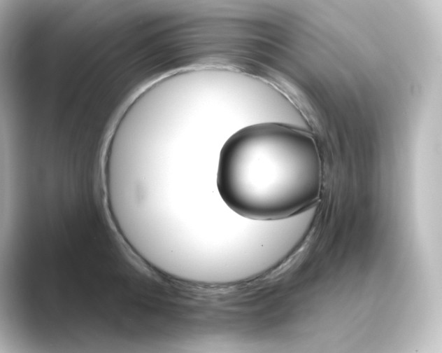 X0000088750808200706212113