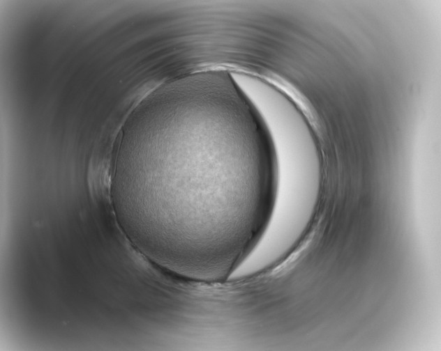 X0000088750809200706212113