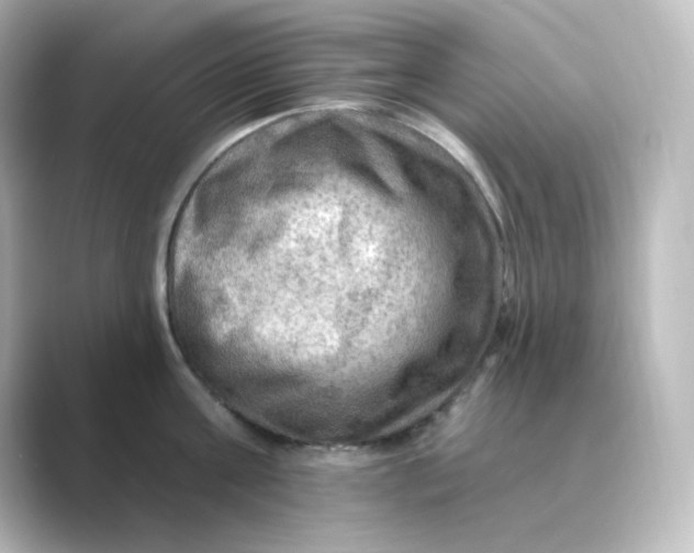 X0000088750811200706212113