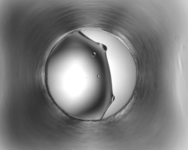 X0000088750812200706212113