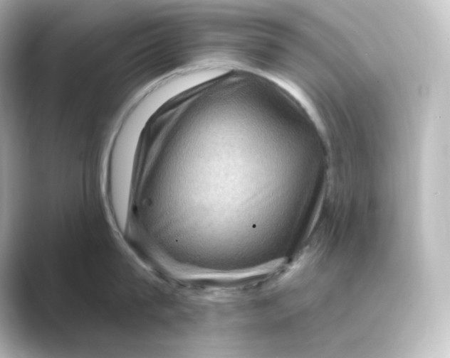 X0000088750815200706212113