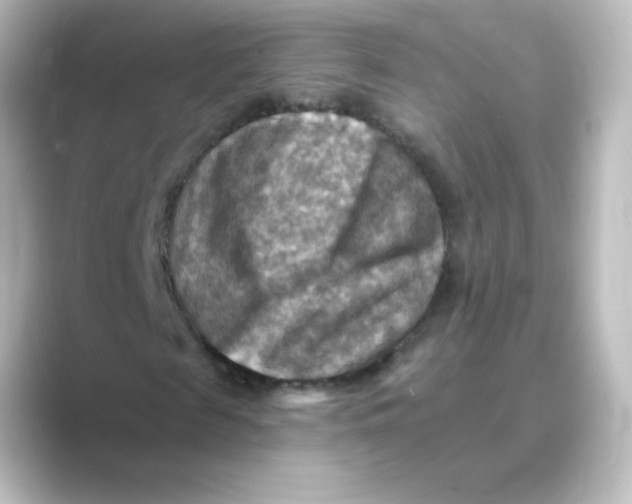 X0000088750817200706212113