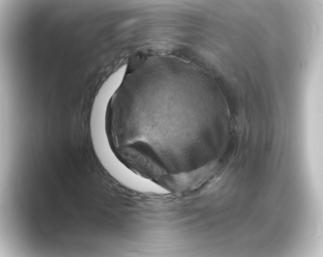 X0000088750818200706212113