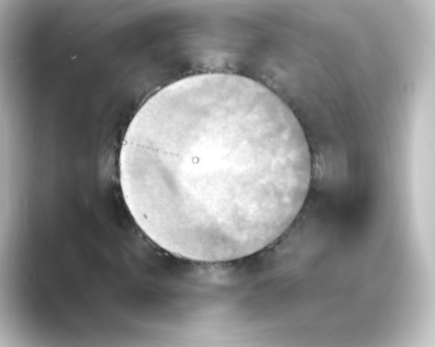 X0000088750820200706212113