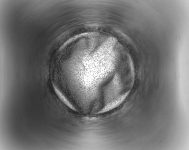 X0000088750821200706212113