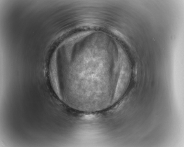 X0000088750822200706212113