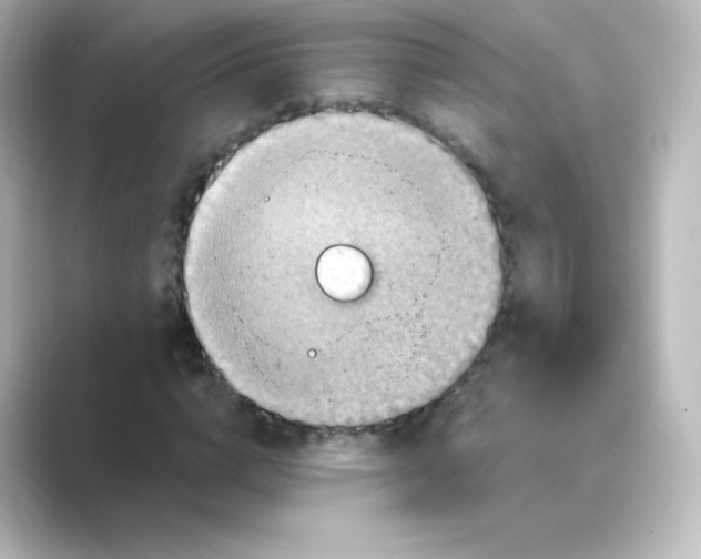 X0000088750824200706212113