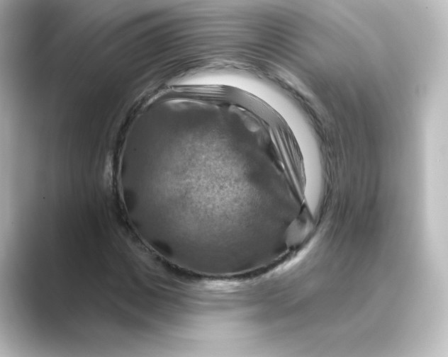 X0000088750825200706212113