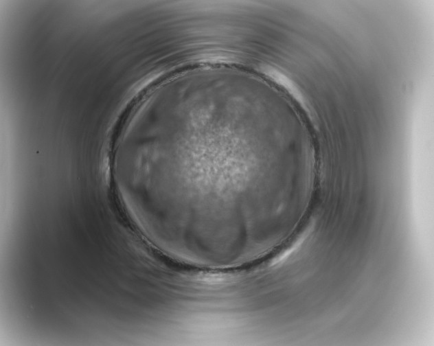 X0000088750829200706212113