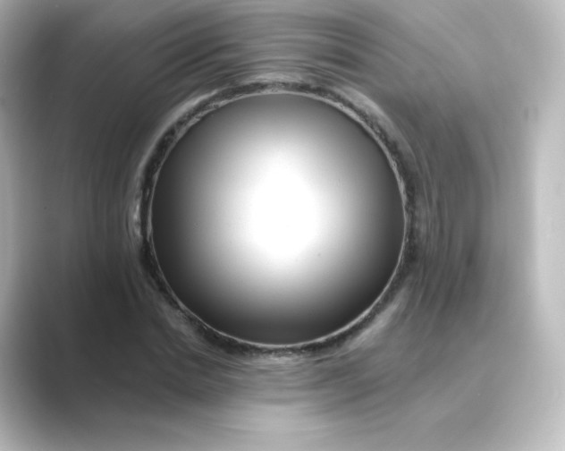 X0000088750830200706212113