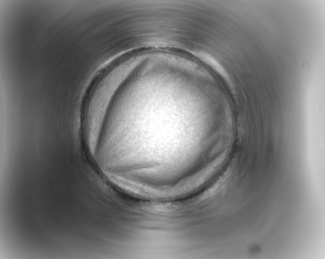 X0000088750831200706212113