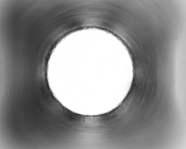 X0000088750832200706212113