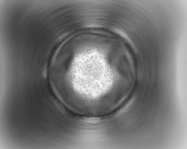 X0000088750833200706212113